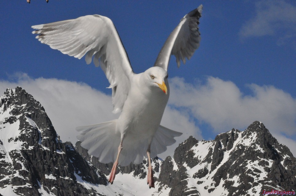 DSC_9077.JPG