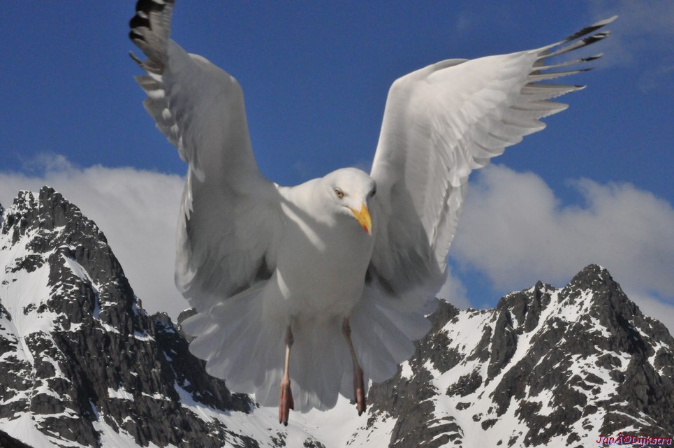 DSC_9078.JPG