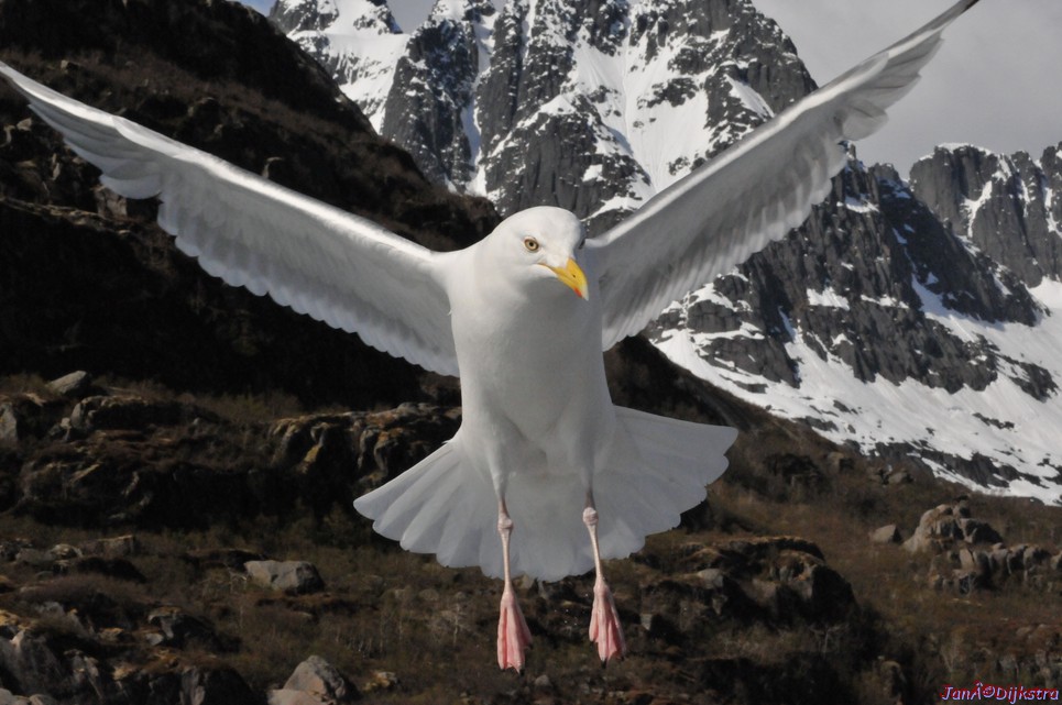 DSC_9081.JPG