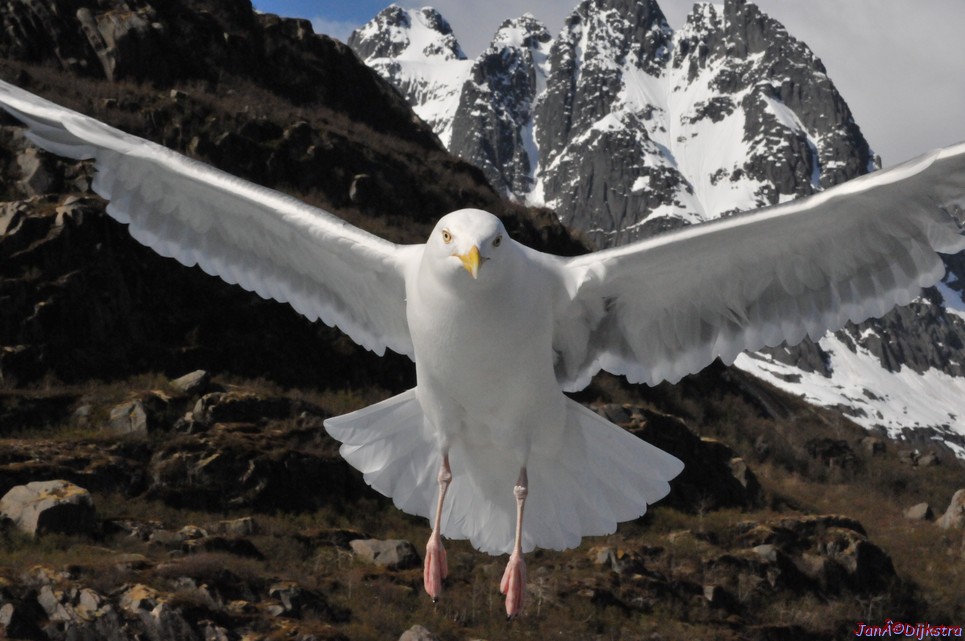 DSC_9084.JPG