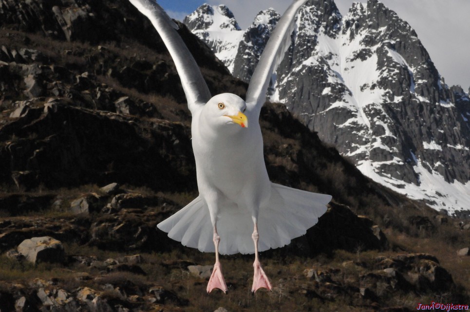 DSC_9085.JPG