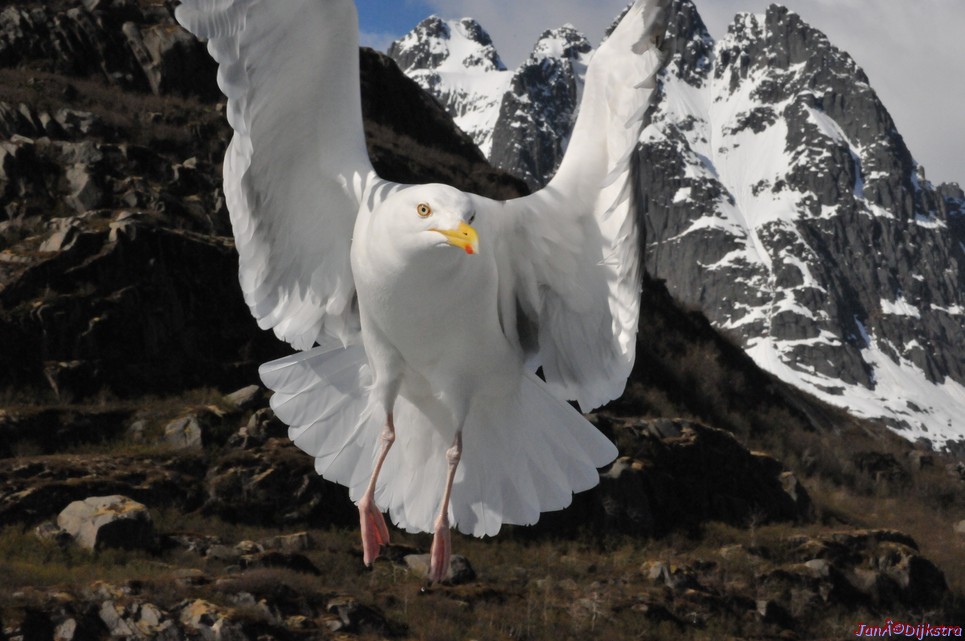 DSC_9086.JPG