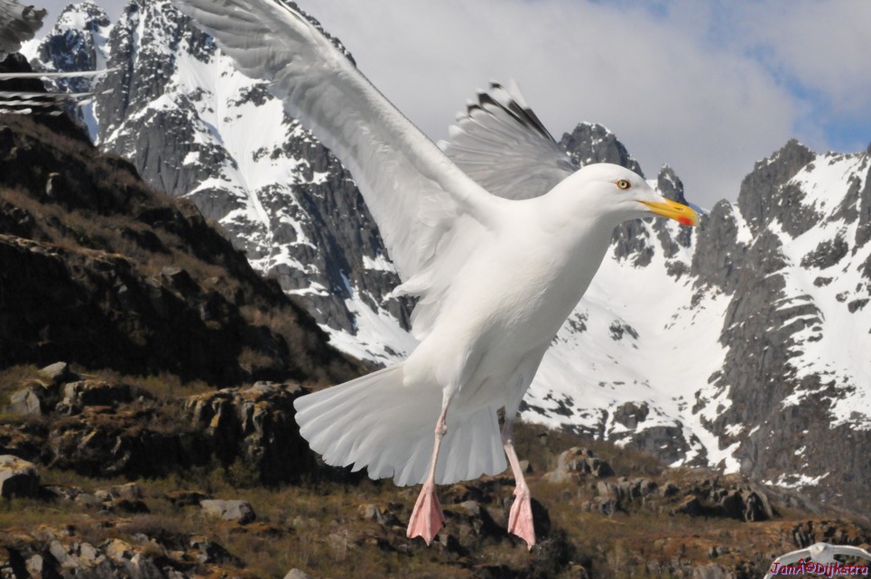DSC_9090.JPG