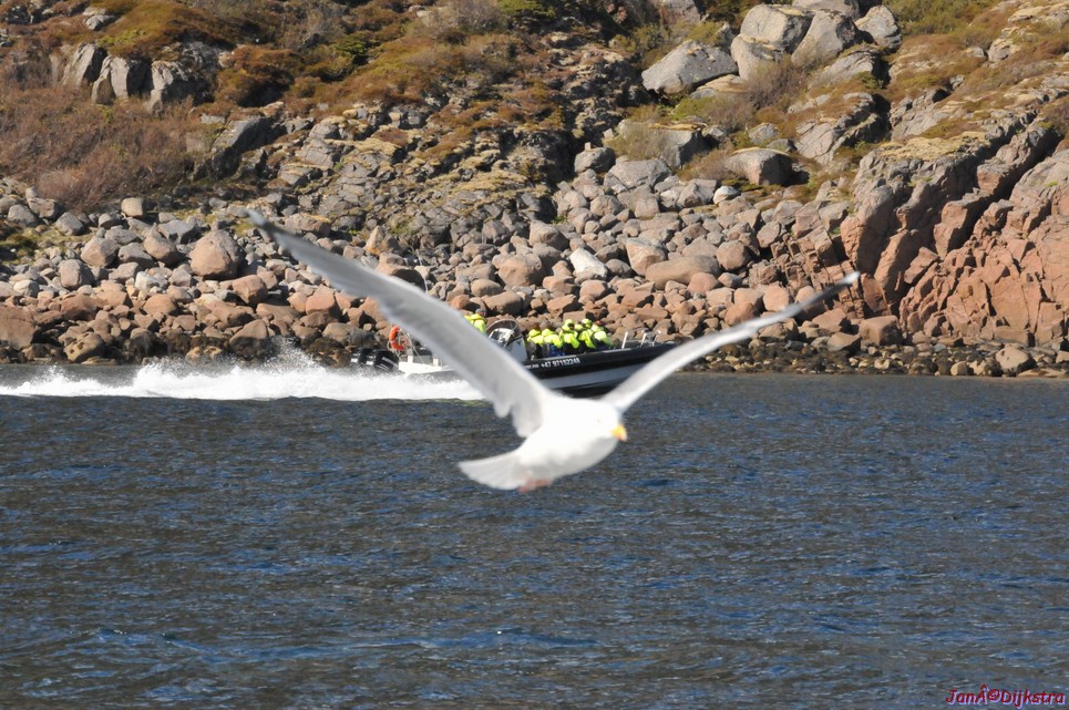 DSC_9094.JPG