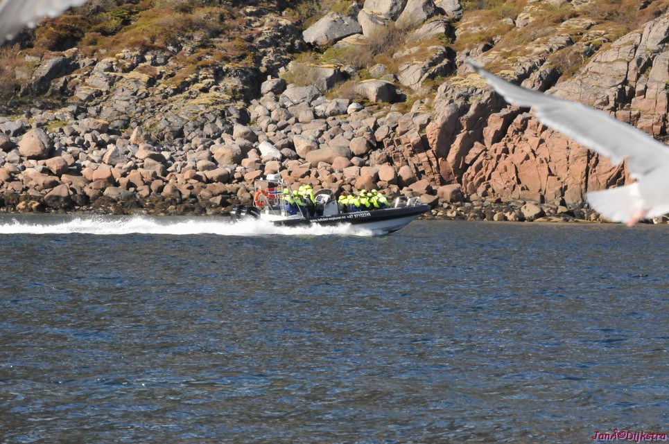 DSC_9096.JPG