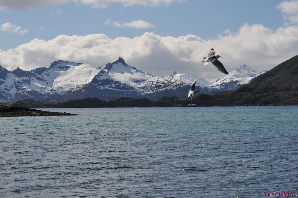 DSC_9101.JPG