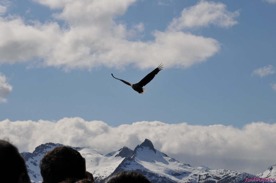 DSC_9102.JPG