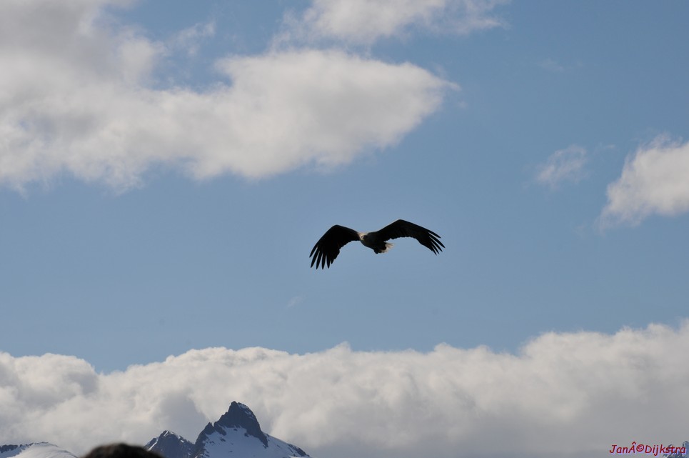 DSC_9103.JPG