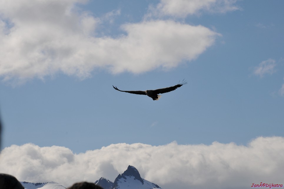DSC_9104.JPG