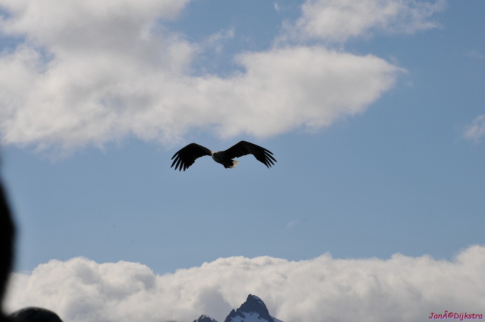 DSC_9105.JPG