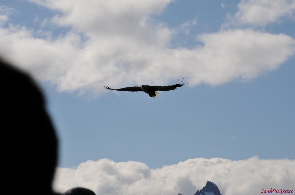 DSC_9106.JPG