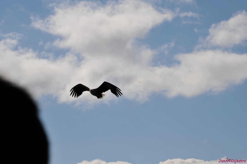 DSC_9107.JPG