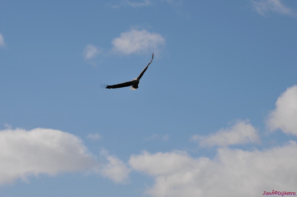 DSC_9108.JPG