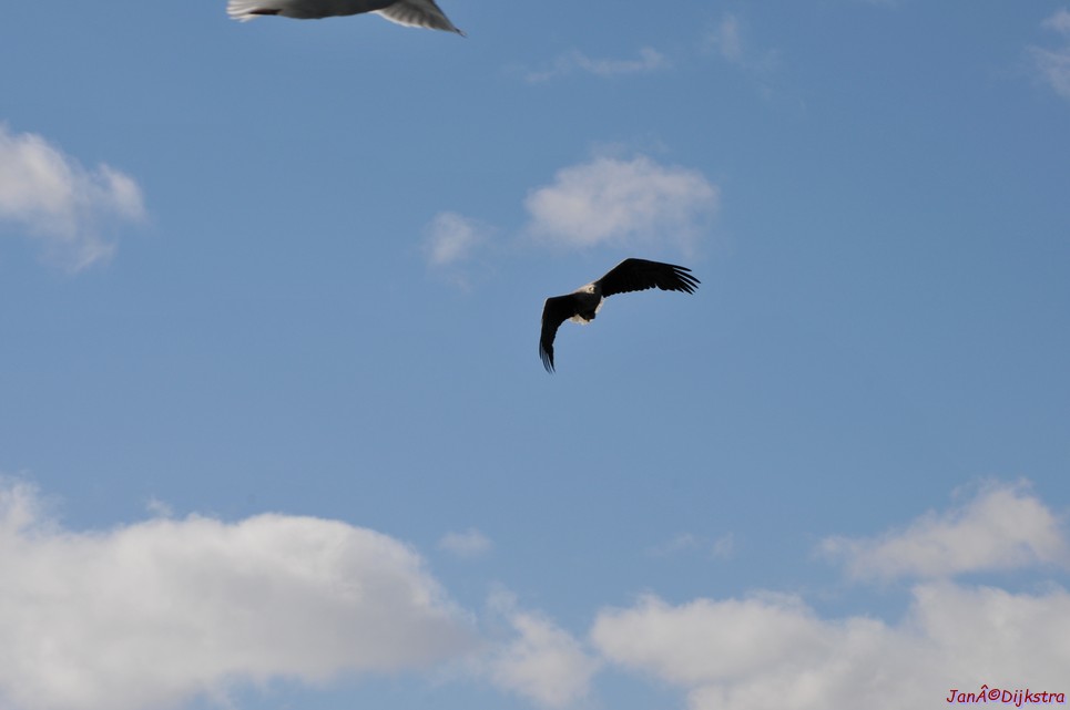 DSC_9109.JPG