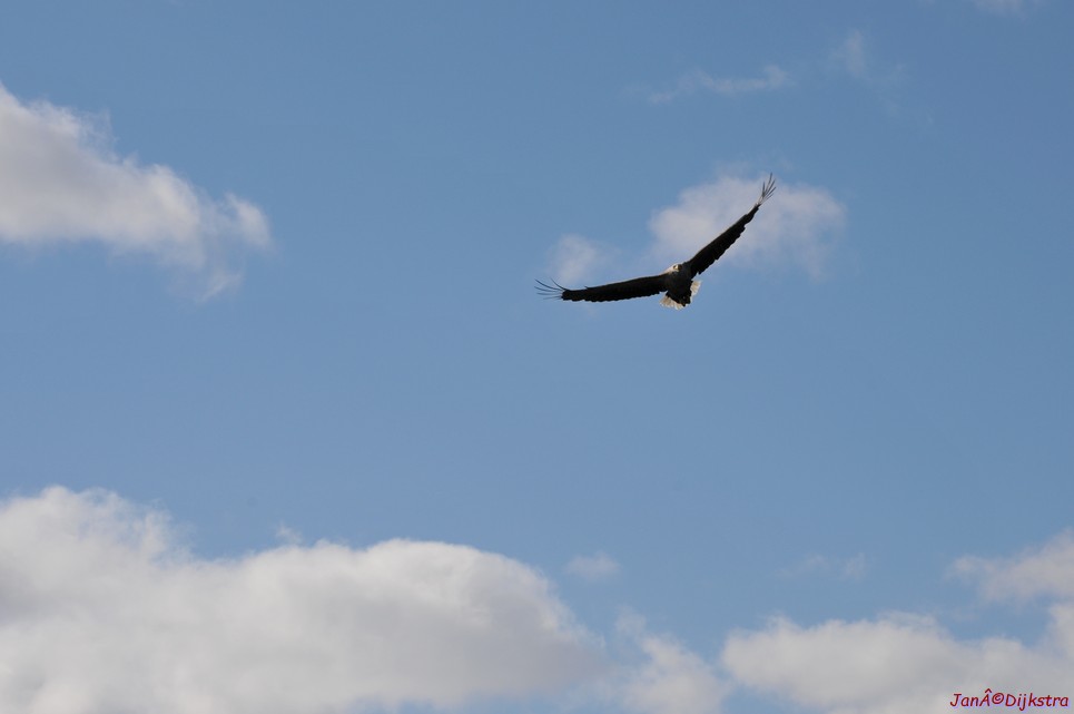 DSC_9110.JPG