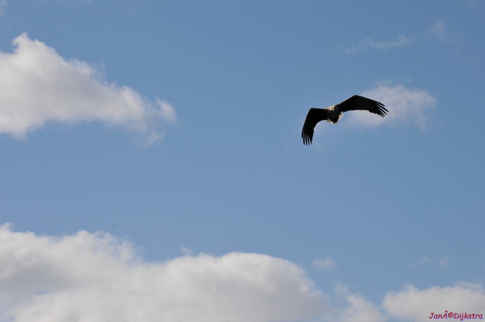 DSC_9111.JPG