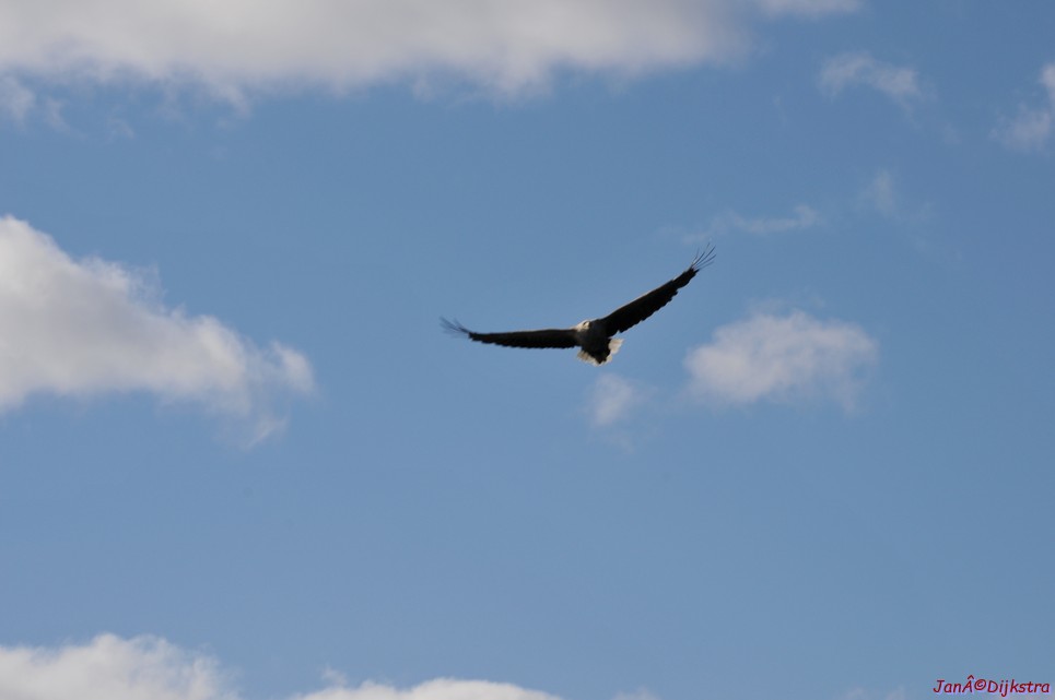DSC_9112.JPG