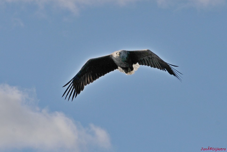 DSC_9113-1.JPG