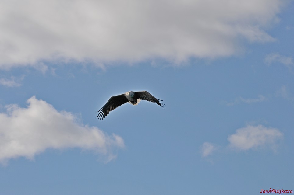 DSC_9113.JPG