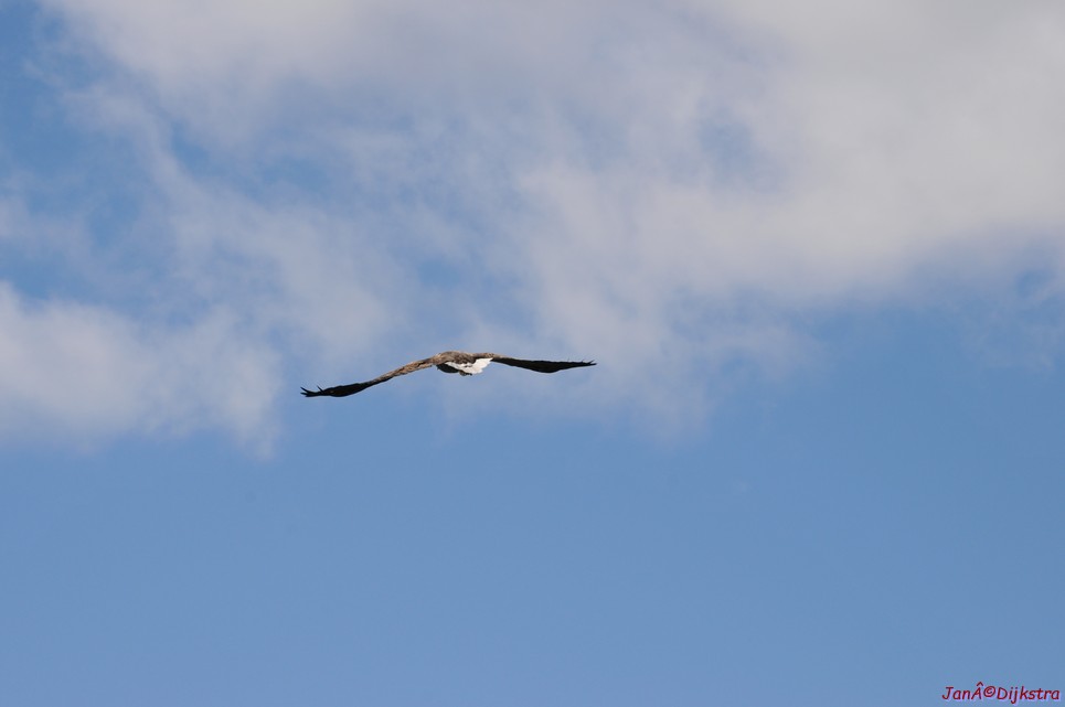 DSC_9114.JPG