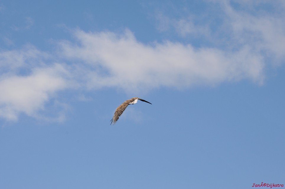 DSC_9115.JPG