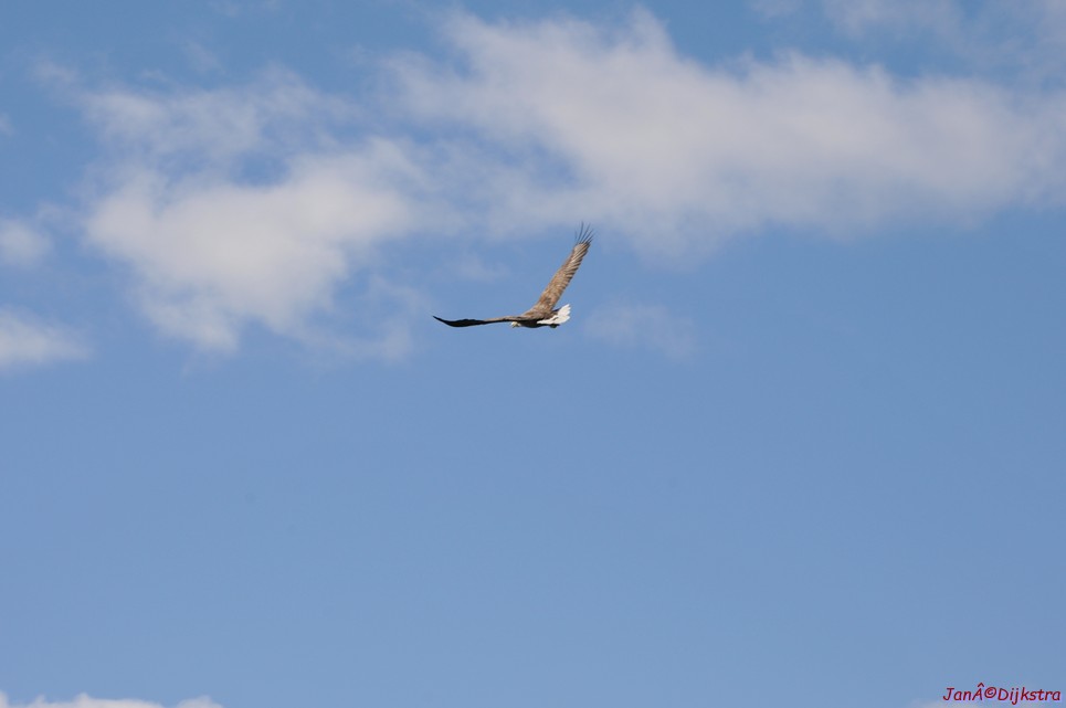 DSC_9116.JPG