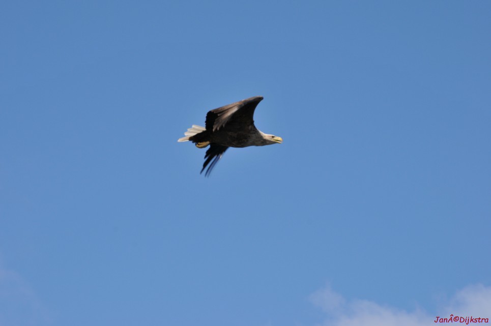 DSC_9117.JPG