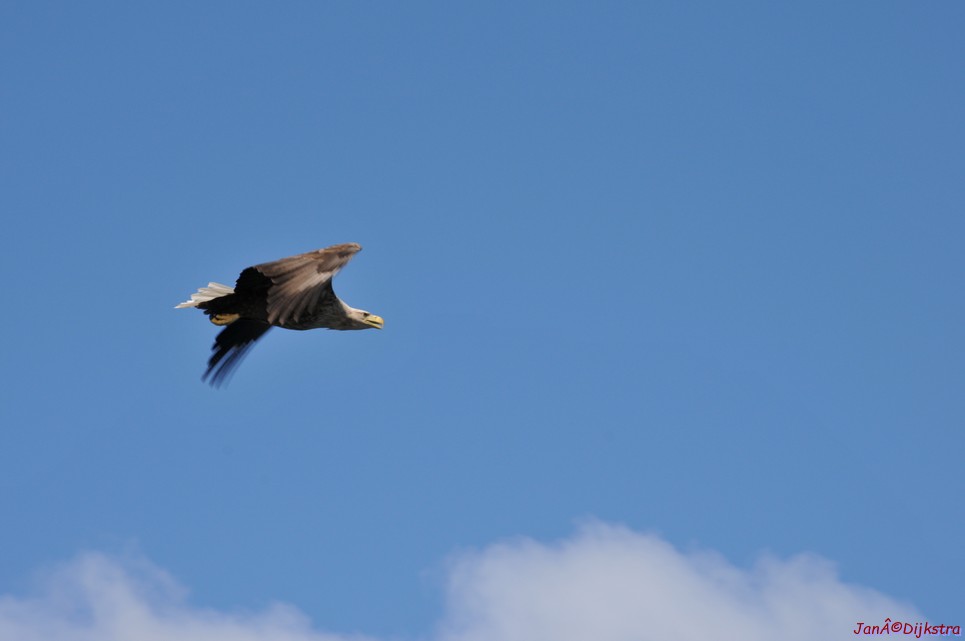 DSC_9119.JPG