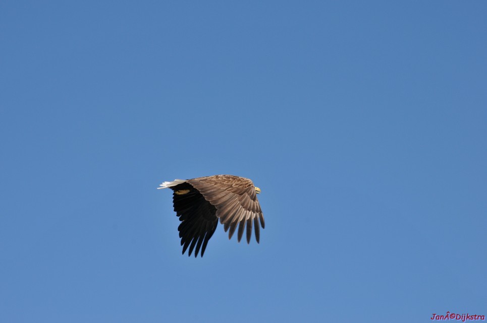 DSC_9120.JPG
