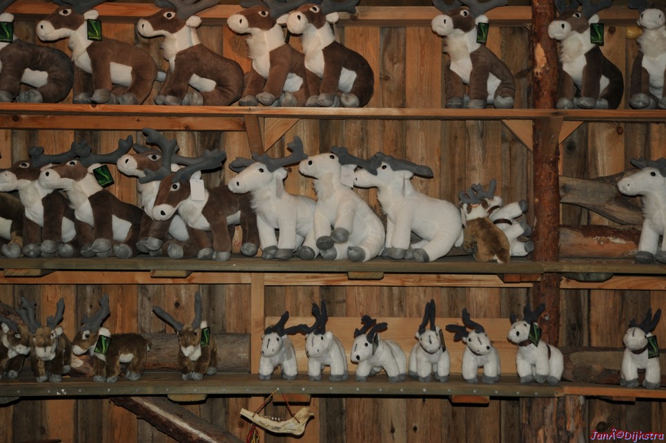 DSC_9197.JPG