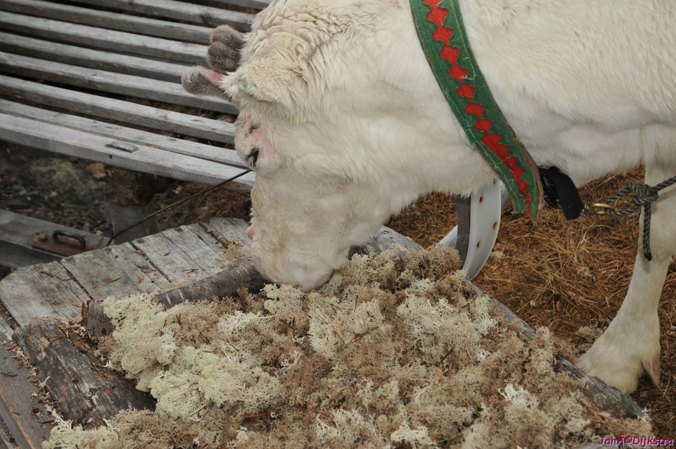 DSC_9203.JPG