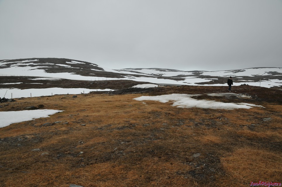 DSC_9204.JPG