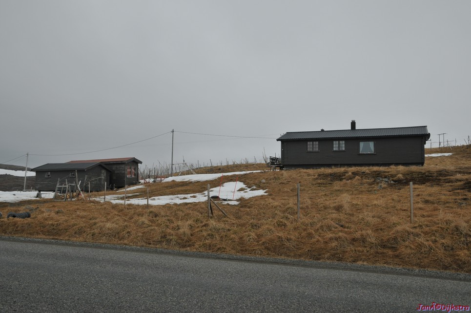 DSC_9207.JPG