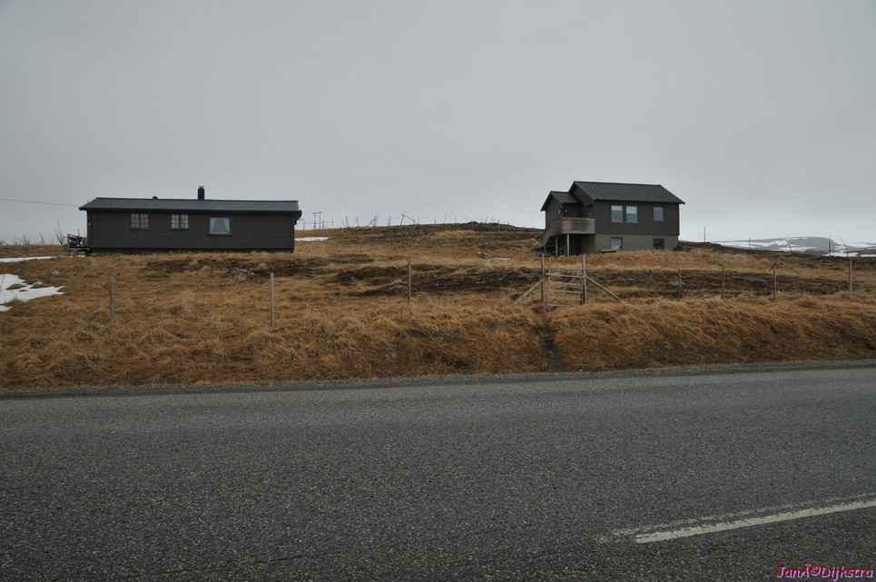 DSC_9208.JPG
