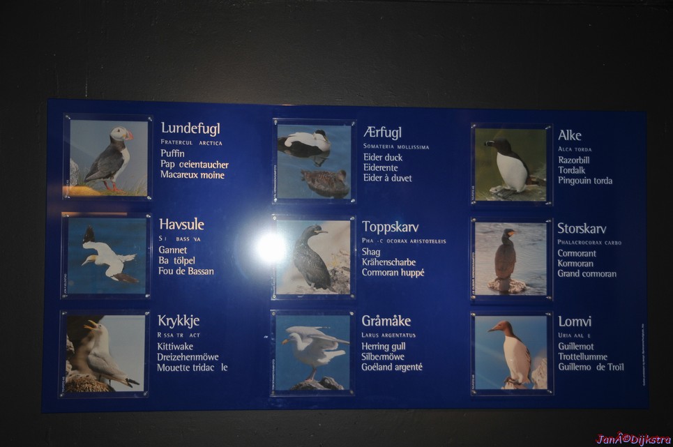 DSC_9228.JPG