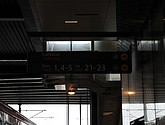 DSC_8644.JPG