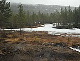 DSC_8665.JPG