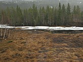 DSC_8666.JPG