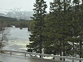 DSC_8674.JPG