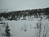 DSC_8678.JPG