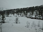 DSC_8679.JPG
