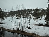 DSC_8680.JPG