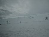 DSC_8688.JPG