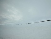 DSC_8689.JPG