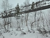 DSC_8695.JPG