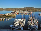 DSC_8713.JPG