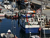 DSC_8716.JPG