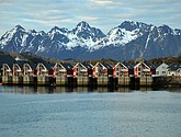 DSC_8728.JPG
