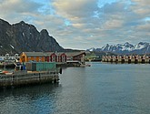 DSC_8730.JPG
