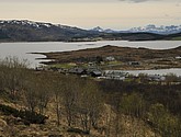 DSC_8740.JPG